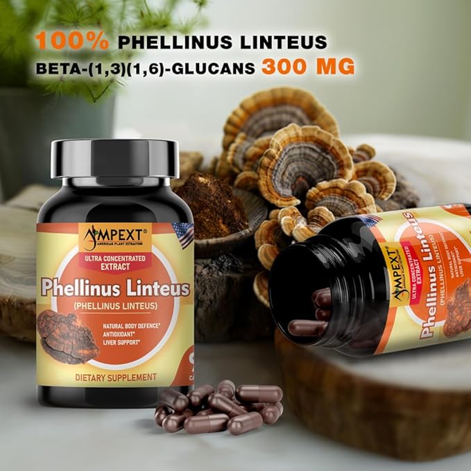 Phellinus linteus Mushroom Extract - Premium Quality, Only Fruiting Bodies, Antioxidant, Immunity Booster, Liver Support, 90 Veg Caps.