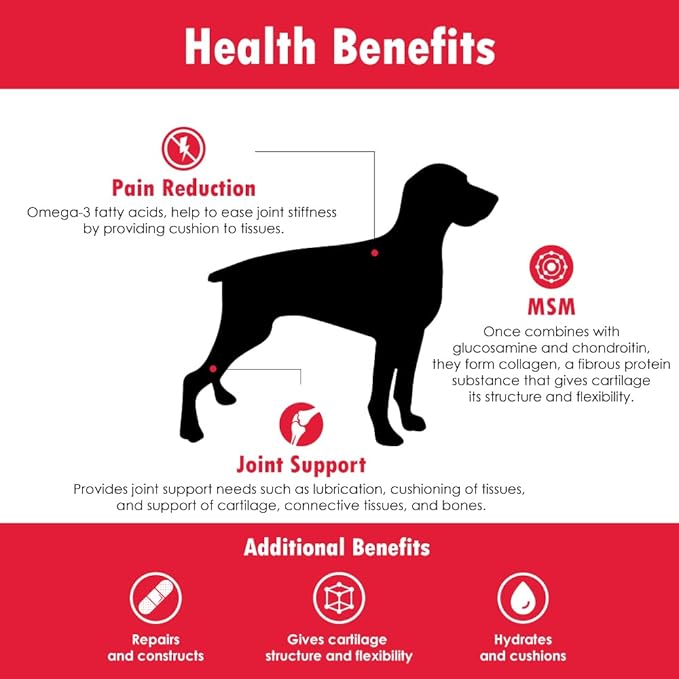 Chondro-Flex DS Joint Care Formula Soft Chews by Vitality Systems