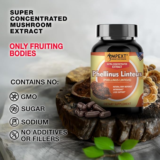 Phellinus linteus Mushroom Extract - Premium Quality, Only Fruiting Bodies, Antioxidant, Immunity Booster, Liver Support, 90 Veg Caps.