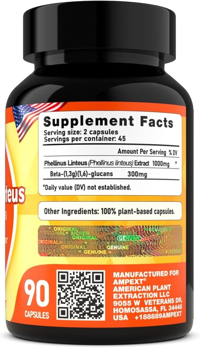 Phellinus linteus Mushroom Extract - Premium Quality, Only Fruiting Bodies, Antioxidant, Immunity Booster, Liver Support, 90 Veg Caps.
