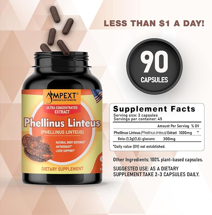 Phellinus linteus Mushroom Extract - Premium Quality, Only Fruiting Bodies, Antioxidant, Immunity Booster, Liver Support, 90 Veg Caps.