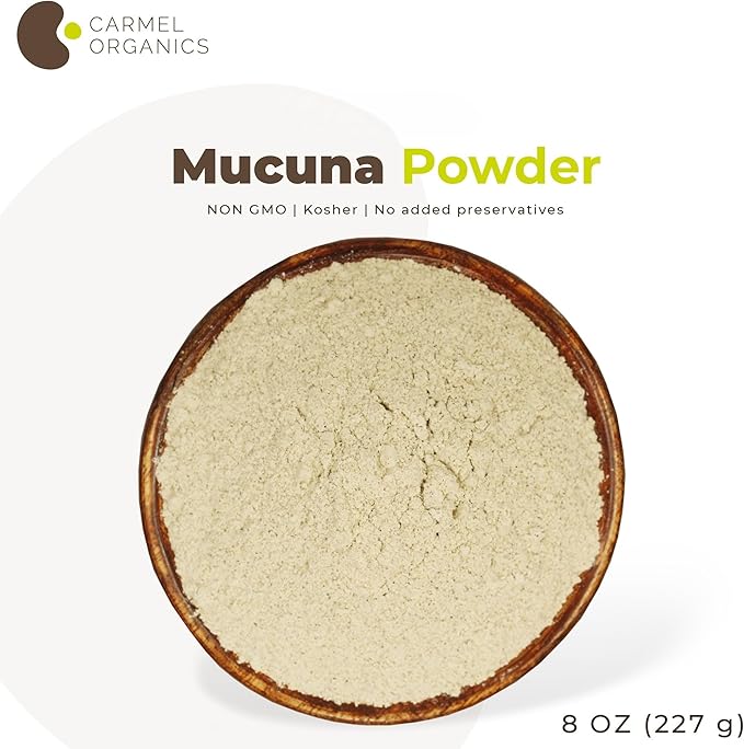 CARMEL ORGANICS Mucuna Pruriens Natural (White) Seeds Powder 8 Ounce or 0.5 Lb/227 Grams | Non GMO | Kosher | Kapikachhu Powder | No Added Preservative