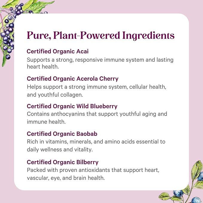 PURE SYNERGY Berry Power | Organic Berry and Fruit Powder | Antioxidant Supplement with Organic Acai, Camu Camu, and Wild Blueberry | for Healthy Aging, Immune, and Skin Support (5.3 oz Powder)