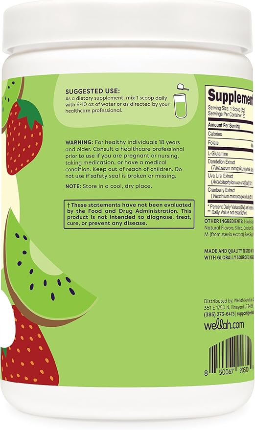 Wellah L-Glutamine Powder Strawberry Kiwi (50 Servings) - 5g L-Glutamine Per Serving, Sweetened with Stevia