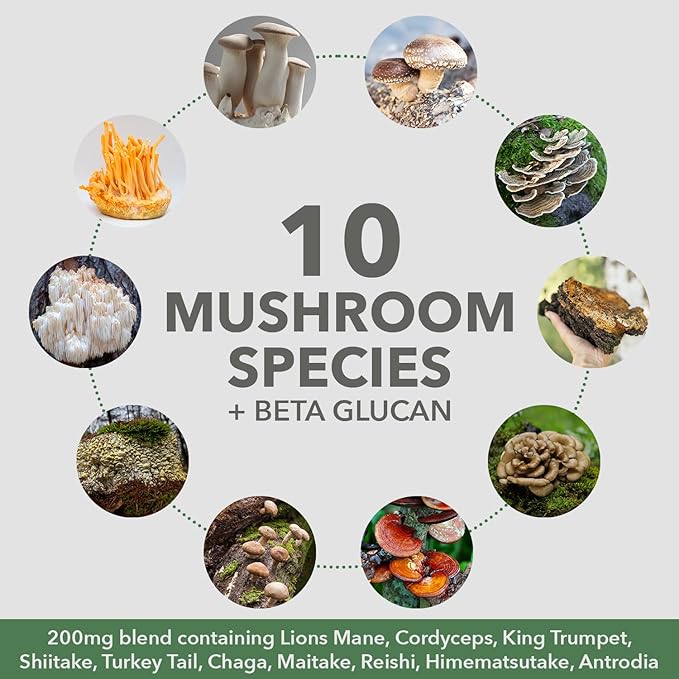 Plantfusion Mushroom Protein Powder - 3 in 1 Vegan Protein Powder, Mushroom Supplement, and Adaptogen Supplement - Support Mental Focus, Immunity, and Recovery - Vanilla 1lb