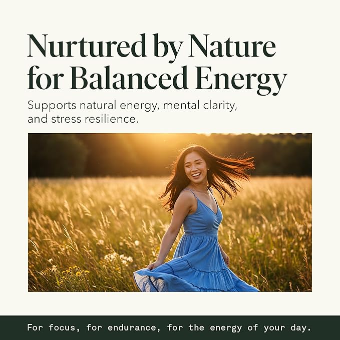 Cordyceps Mushroom Extract Liquid Fantastic Fungi Energy Elixir, 4-in-1 Vitality and Stress Support Supplement w/ Ginseng, Turkey Tail, Rhodiola - 100% Organic & Natural, 30 Servings, 1 fl oz