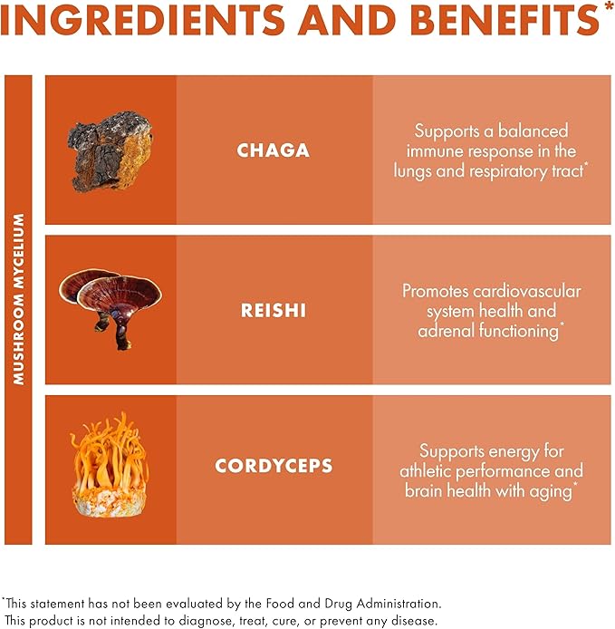 Host Defense Breathe* Powder - Immune & Respiratory Support Mushroom Supplement - Herbal Lung Health Support Supplement with Chaga, Reishi & Cordyceps - 3.5 oz (66 Servings)*