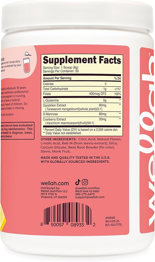 Wellah L-Glutamine Strawberry Lemonade Flavored (50 Servings) - 5g L-Glutamine Per Serving, Sweetened with Stevia
