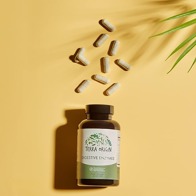 TERRA ORIGIN Digestive Enzymes with Probiotics & Prebiotics | 60 Capsules | Supports Digestive Gut Health | Non GMO, Gluten Free, Vegan | for Women and Men