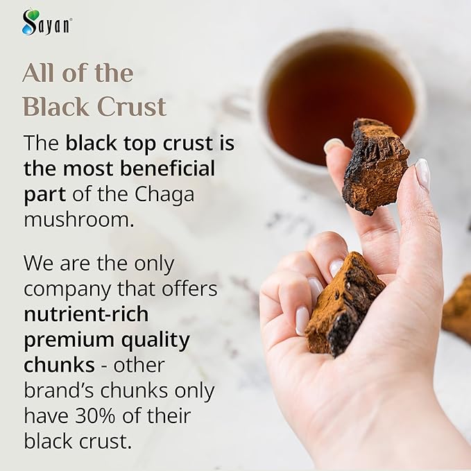Sayan Siberian Pure Raw Chaga Mushroom Chunks with Black Top Crust 8 Oz / 223 g – Premium Wild-Harvested Antioxidant Tea for Immune Support, Focus and Digestive Health - Non-GMO