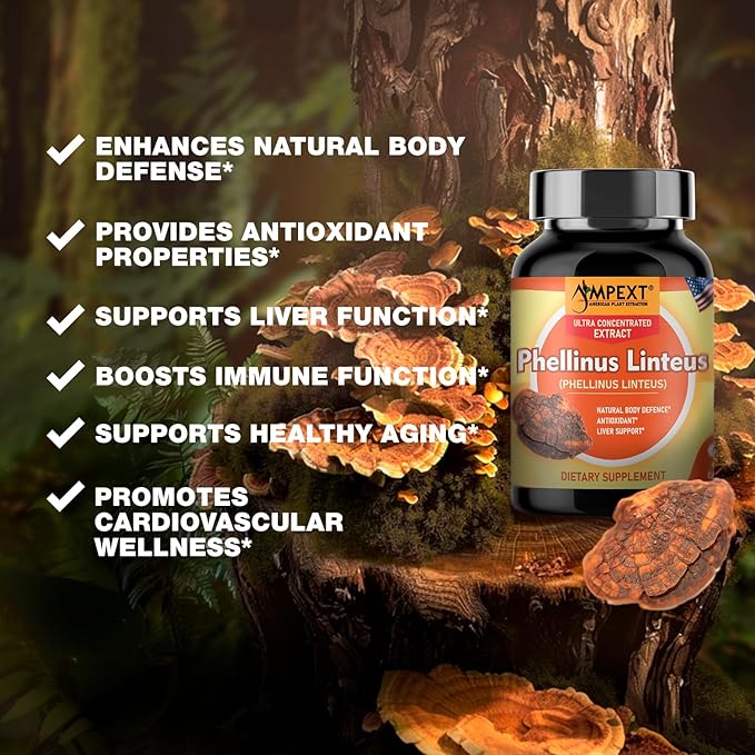 Phellinus linteus Mushroom Extract - Premium Quality, Only Fruiting Bodies, Antioxidant, Immunity Booster, Liver Support, 90 Veg Caps.