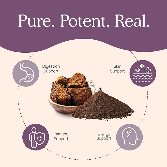 Real Mushrooms Chaga Mushroom Powder – Organic Chaga Extract from Fruiting Body – for Daily Wellness & Energy Support – Vegan, Non-GMO, 60 Servings Mushroom Supplement