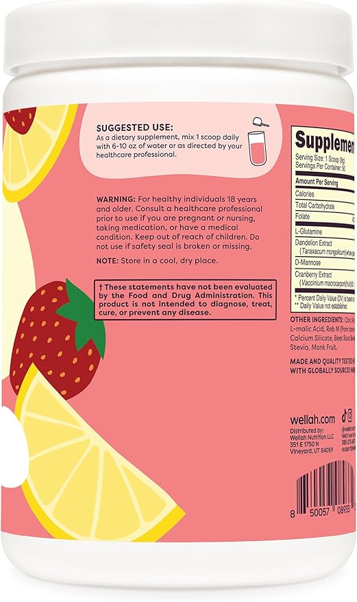Wellah L-Glutamine Strawberry Lemonade Flavored (50 Servings) - 5g L-Glutamine Per Serving, Sweetened with Stevia