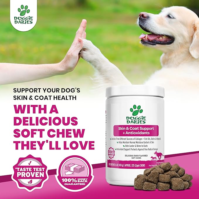Doggie Dailies Skin & Coat Supplement + Antioxidant Support, 225 Soft Chews, Salmon Oil for Dogs Skin and Coat with Collagen, Omega 3, Krill Oil, Biotin, & Coconut Oil for Dogs (Salmon)