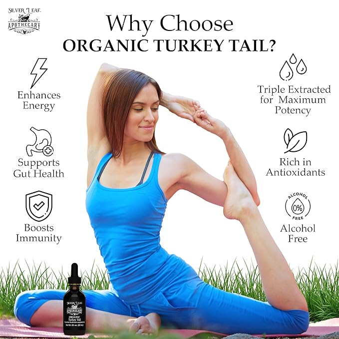 Silverleaf Apothecary Organic Triple-Extracted Turkey Tail Tincture Mushroom Supplement for Immune Support, Gastrointestinal & Gut Microbiome Wellness - 2 Fl Oz (60ml)