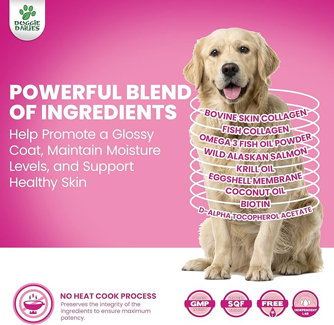 Doggie Dailies Skin & Coat Supplement + Antioxidant Support, 225 Soft Chews, Salmon Oil for Dogs Skin and Coat with Collagen, Omega 3, Krill Oil, Biotin, & Coconut Oil for Dogs (Salmon)