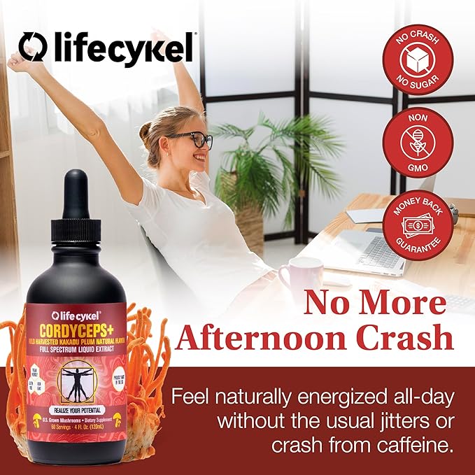 Life Cykel This is It Pack - Chaga, Lions Mane & Cordyceps Mushroom Extract - Full-Spectrum Mushroom Tincture for Energy, Mental Clarity & Immune Support - Vegan, Non-GMO- 2Fl/Oz Per Bottle