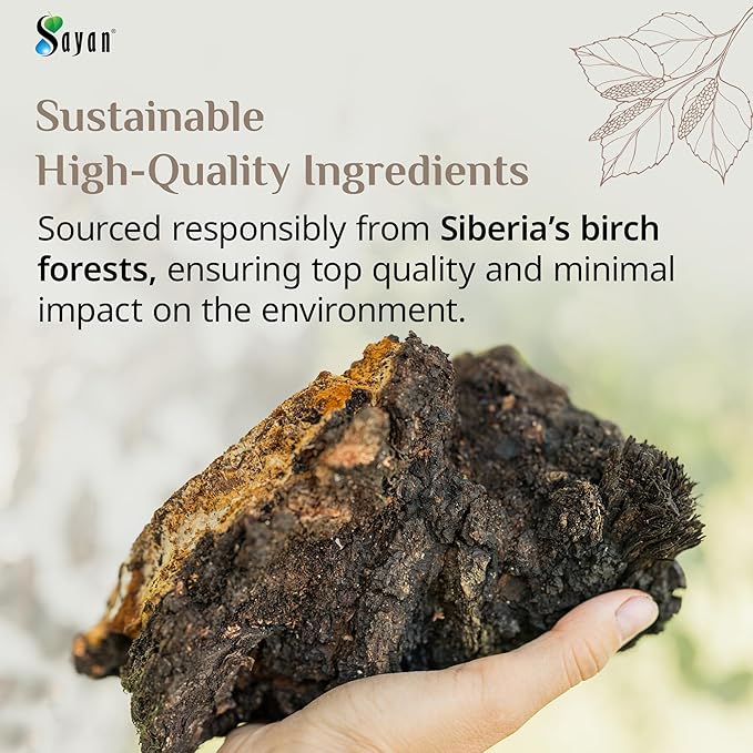 Sayan Siberian Pure Raw Chaga Mushroom Chunks with Black Top Crust 8 Oz / 223 g – Premium Wild-Harvested Antioxidant Tea for Immune Support, Focus and Digestive Health - Non-GMO