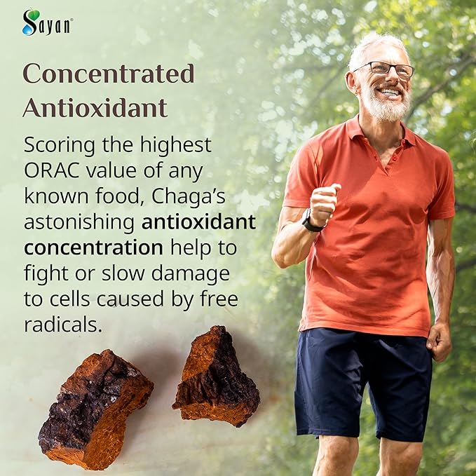 Sayan Siberian Pure Raw Chaga Mushroom Chunks with Black Top Crust 8 Oz / 223 g – Premium Wild-Harvested Antioxidant Tea for Immune Support, Focus and Digestive Health - Non-GMO
