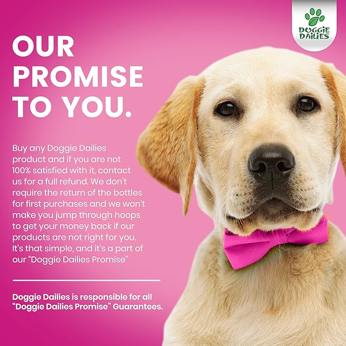 Doggie Dailies Skin & Coat Supplement + Antioxidant Support, 225 Soft Chews, Salmon Oil for Dogs Skin and Coat with Collagen, Omega 3, Krill Oil, Biotin, & Coconut Oil for Dogs (Salmon)