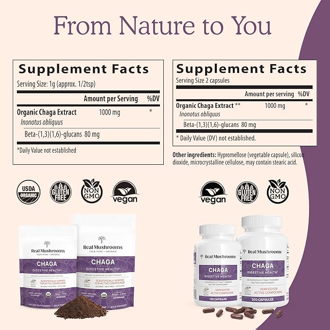 Real Mushrooms Chaga Mushroom Powder – Organic Chaga Extract from Fruiting Body – for Daily Wellness & Energy Support – Vegan, Non-GMO, 60 Servings Mushroom Supplement