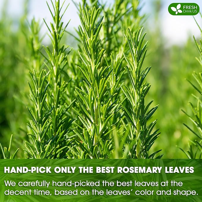 FRESHDRINKUS, Premium 25 Rosemary Leaf Tea Bags, 100% Natural and Pure Rosemary Dried Leaves, Pure Rosemary Herbal Tea, No Additives, No Caffeine, No Gluten, Vegan.