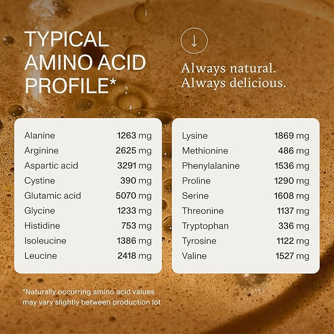 Synchro Genesis Plant Based Protein Powder | Chocolate Superfood | 30g of Organic Protein Per Serving | <1g Sugar | 1g Net Carbs | No Stevia | Superfoods + Prebiotics | Vegan + Keto Friendly