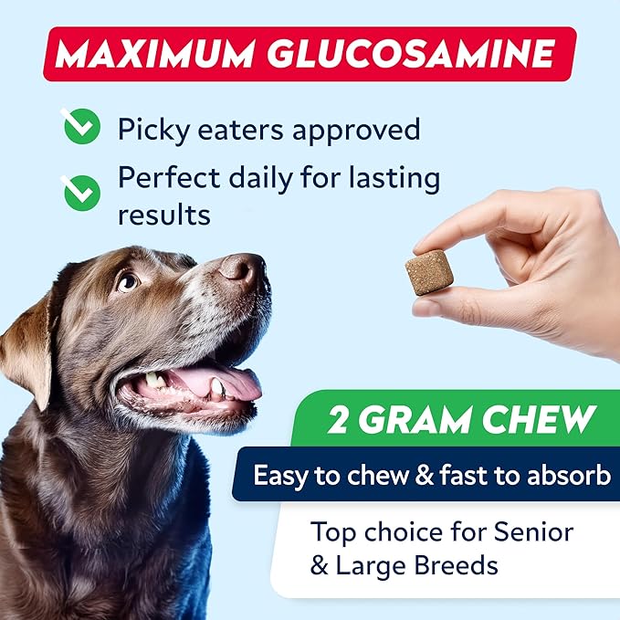 STRELLALAB Senior Advanced Glucosamine Joint Supplement for Dogs - Green Lipped Mussel & Collagen - Large Breeds - Hip & Joint Health - Bacon Flavor - 120 Chews
