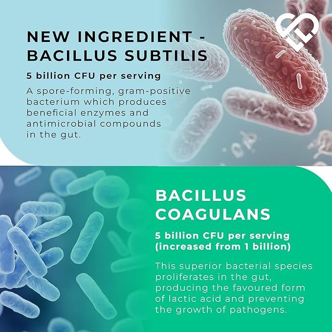 MultiSpore® Plus (Bacillus Coagulans & Bacillus Subtilis) Spore Based Probiotic | 120 Capsules - 4 Month Supply | Bloating Relief/Gut Health | Includes Digestive Enzymes & Prebiotic Inulin | UK Made