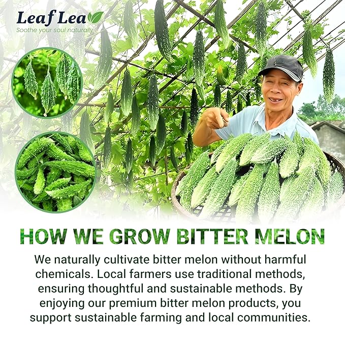 LeafLea Natural Bitter Melon Tea Bags, 40 Cundeamor Herbal Tea Bags – Melon Amargo Gohyah Fruit Tea | Wellness & Digestion Support | Caffeine-Free, Non-GMO, Sugar-Free, Vegan