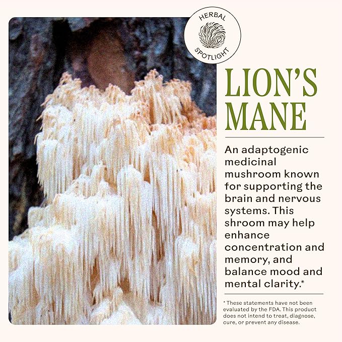 Wooden Spoon Herbs - Brain Bloom Supplement | Boosts Memory, Focus, Concentration, & Mental Agility | Organic Rosemary, Bacopa, & Lion’s Mane Supplement | Gluten-Free, Non-GMO, Vegan (60 CT, Capsules)