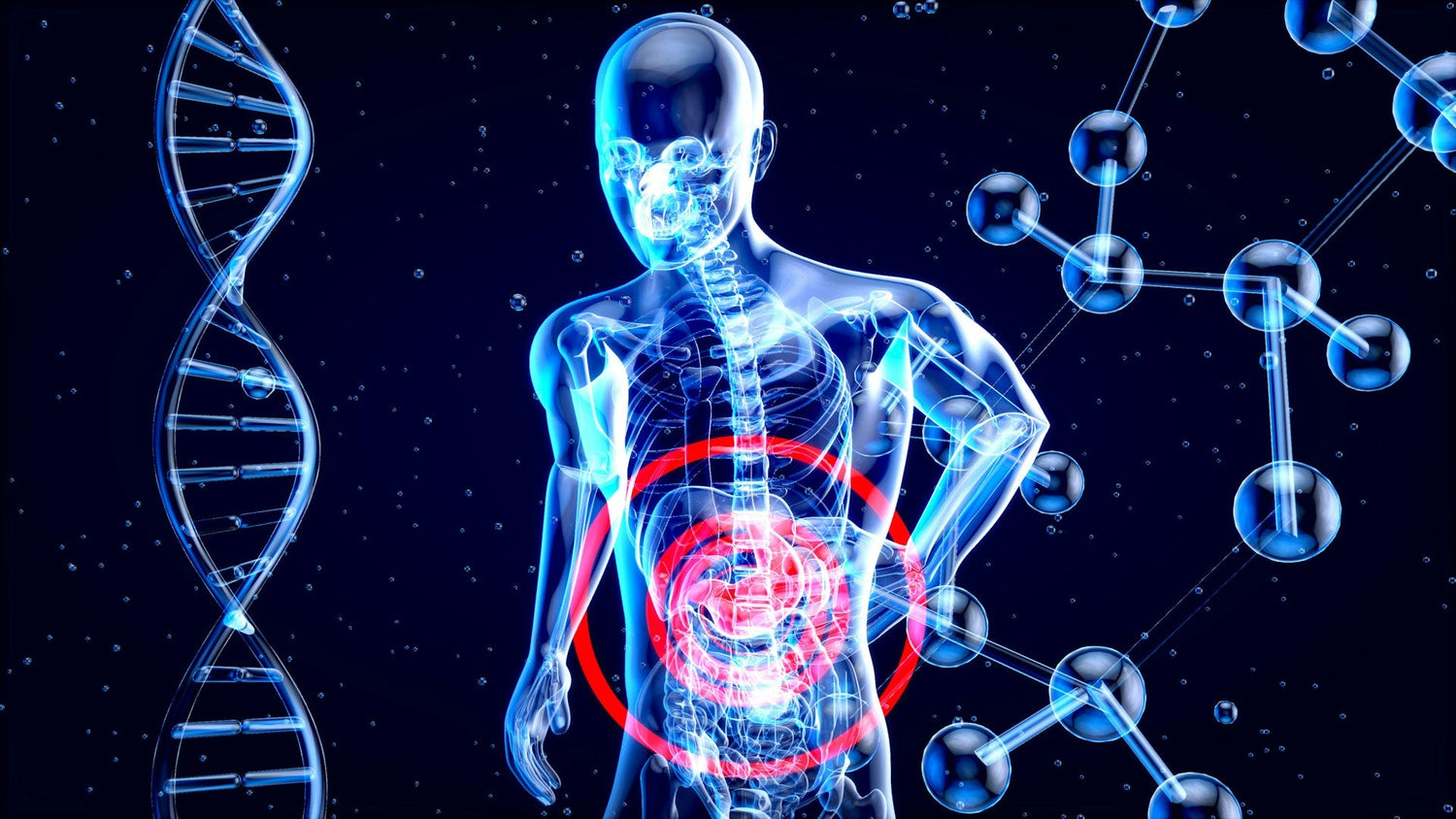 Immunity & Wellness Boosters