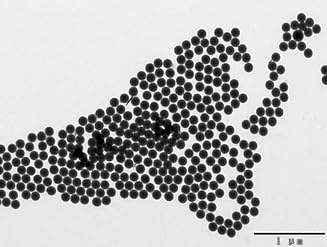 Alpha Nanotech Colloidal Silica Nanoparticles (Available from 20 to 1000 nm) (120 nm, 10 mg/ml)