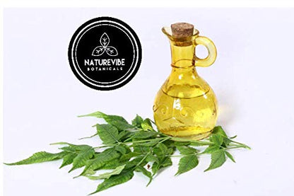 Naturevibe Botanicals Pumpkin Seed Oil 32oz and Neem Oil 32oz | Oil Combo