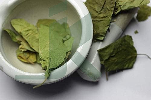 bixa BOTANICAL Gymnema Leaf Powder (Gudmar, Shardunika) 7 Oz/ 200 GRM | Digestive Stimulant | Natural Herbal Supplement