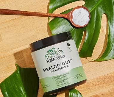 TERRA ORIGIN Healthy Gut Powder Vegan Formula | with L Glutamine, DGL Licorice Root Powder, MSM | Bloating and Leaky Gut | Gut Health for Women and Men | 30- Servings