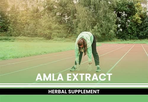 PURE ORIGINAL INGREDIENTS Amla Extract (365 Capsules) No Magnesium Or Rice Fillers, Always Pure, Lab Verified