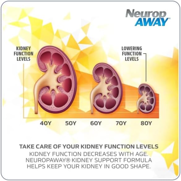 NeuropAWAY Kidney Support Supplement with Agmatine Sulfate, L-Novaline, L-Ornithine, L-Citrulline Provides Fast, Powerful Kidney Support, 60CT