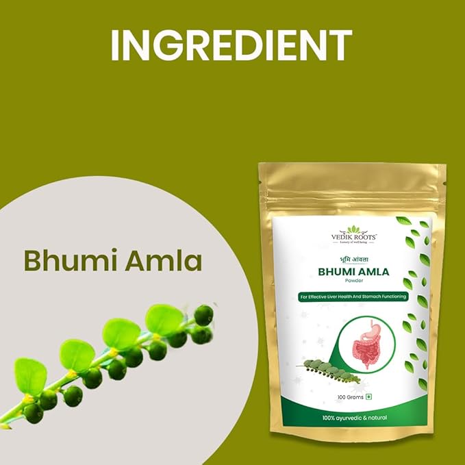Vedikroots Bhumi Amla Powder/Churn - Organic And Pure Ingredient Extract For Healthy Liver Functioning And Digestive Strength Enriched With Essential Nutrients (100 GM) (100 g (Pack of 1))