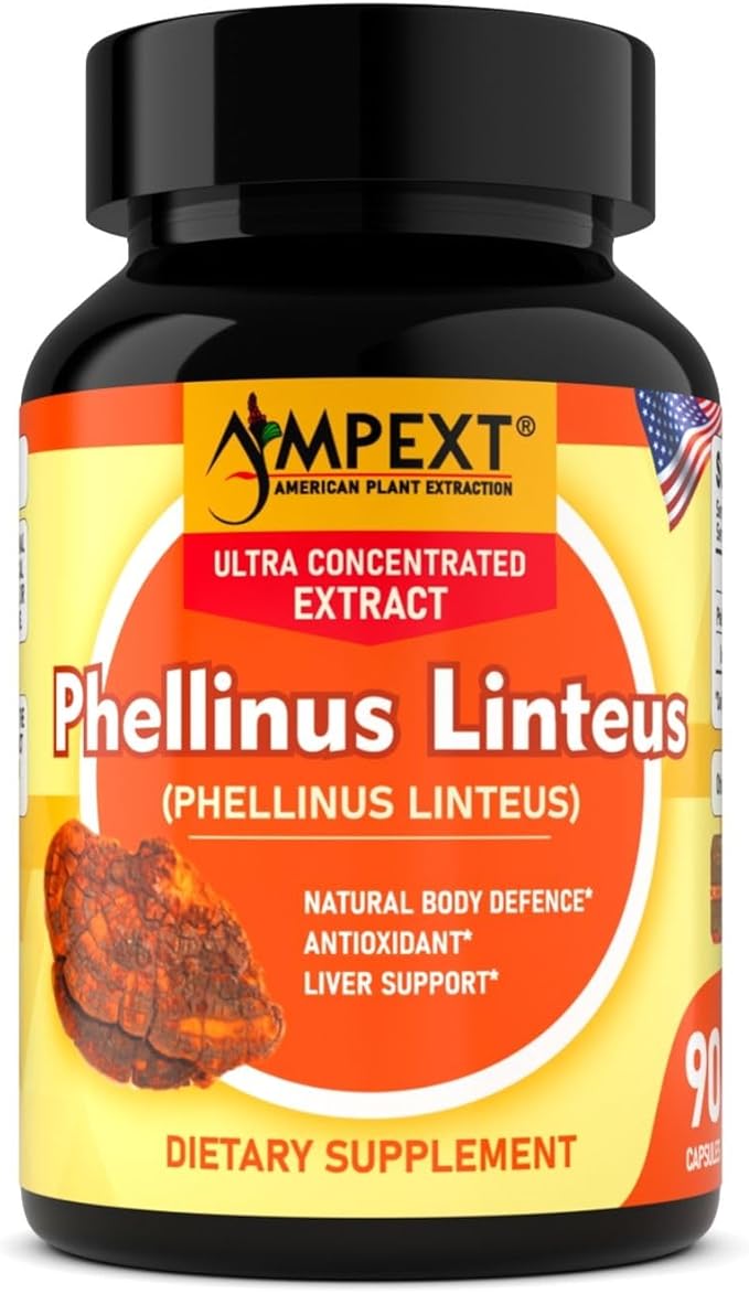 Phellinus linteus Mushroom Extract - Premium Quality, Only Fruiting Bodies, Antioxidant, Immunity Booster, Liver Support, 90 Veg Caps.