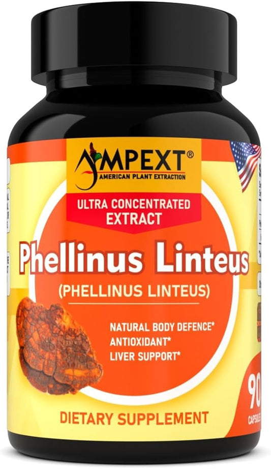 Phellinus linteus Mushroom Extract - Premium Quality, Only Fruiting Bodies, Antioxidant, Immunity Booster, Liver Support, 90 Veg Caps.