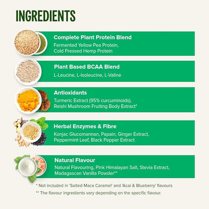 Vivo life Perform Plant Protein Powder - Pea & Hemp Protein Blend with BCAA (9.38 oz, Vanilla)