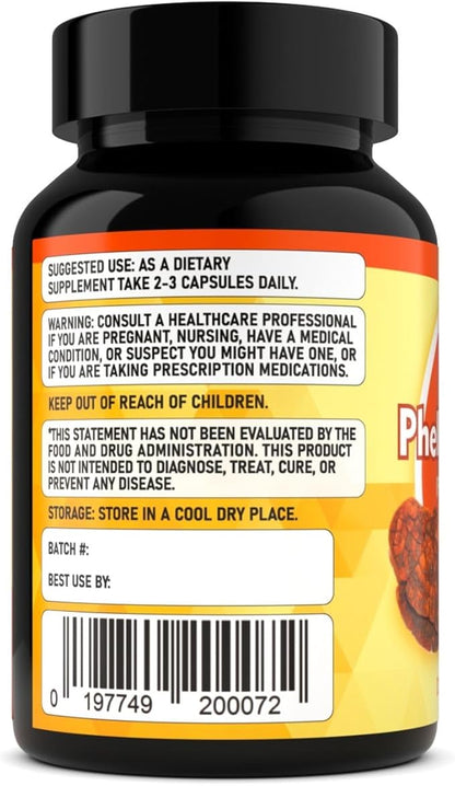 Phellinus linteus Mushroom Extract - Premium Quality, Only Fruiting Bodies, Antioxidant, Immunity Booster, Liver Support, 90 Veg Caps.