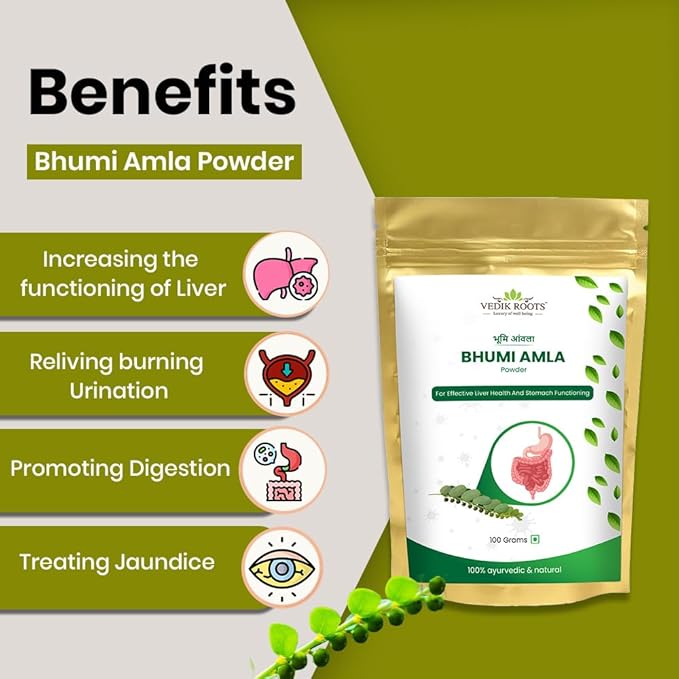 Vedikroots Bhumi Amla Powder/Churn - Organic And Pure Ingredient Extract For Healthy Liver Functioning And Digestive Strength Enriched With Essential Nutrients (100 GM) (100 g (Pack of 1))