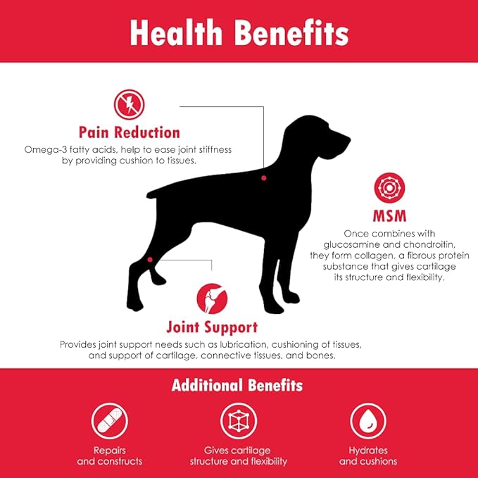 Chondro-Flex DS Joint Care Formula Soft Chews by Vitality Systems