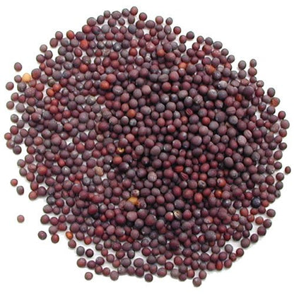 Pride of India | Black Mustard Seed 10 oz (283 gm) Medium Dual Sifter Bottle | Gourmet & Vegan Indian Spice | Pungent/Spicy Flavor | Dry Seasoning | Gluten Free & Non-Bioengineered | Easy to Use