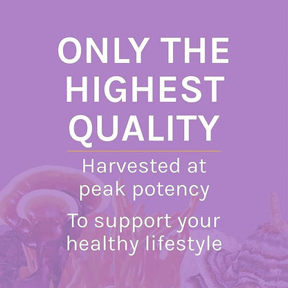 Host Defense Lion's Mane Powder - Brain Health Support Supplement - Mushroom Supplement to Support Focus & Memory Function - Immune & Nervous System Support Supplement - 3.5 oz (66 Servings)*
