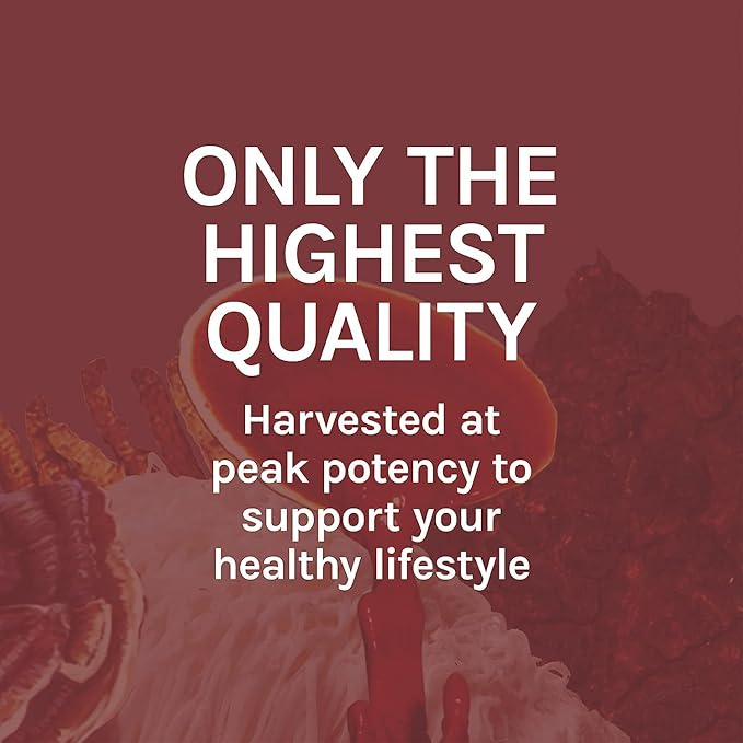 Host Defense Reishi Extract - Heart & Immune Health Support Supplement - Mushroom Supplement to Support Energy & Vitality - Reishi Supplement to Aid Overall Well-Being - 1 fl oz (30 Servings)*