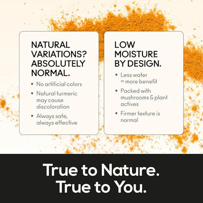 TrueMushroom - Immunity, Focus & Memory, Energy Mushroom Gummies with Lion’s Mane, Cordyceps, Reishi, Shiitake All-Natural Supplement with Ginger & Turmeric. Ginger Mango Flavor (60 Count)