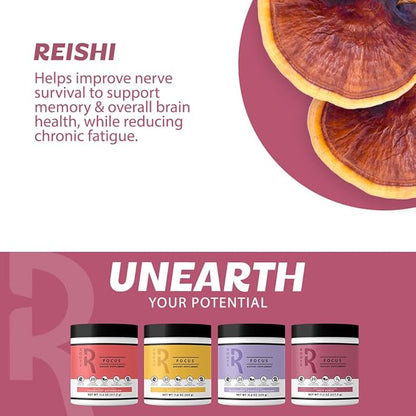 Roots Focus Nootropic Brain Supplement - BlackBerry Lavender Lemonade, Blend of Lion's Mane, Cordyceps, & Reishi Functional Mushrooms + Extended-Release Caffeine, 50 Servings